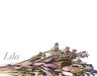 マツエク・マツパ 無料🍀ECREA ✨エクステモデル募集のマツエク・マツパデザイン