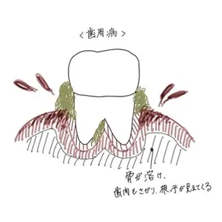 アイブロウ ホワイトニングサロン nico西葛西店のその他イメージ