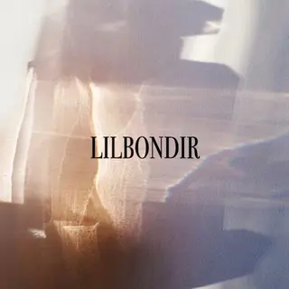 lilbondir. chiharuのネイルデザイン