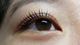 マツエク・マツパ angelux 所属・完全個室サロン🌹 angelux🌹のマツエク・マツパデザイン