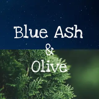 ショート HARUKI 艶髪特化美容師のヘアスタイル