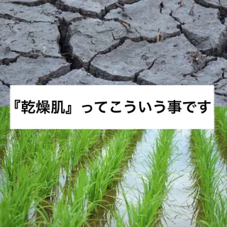 都度払い肌質改善 &脱毛Blancheのエステ・リラクイメージ