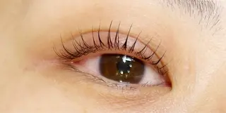 マツエク・マツパ Lek所属・鈴木 梢の眉毛・アイブロウイメージ