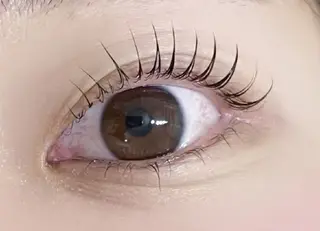 マツエク・マツパ アレグレス所属・アレグレス@池袋 🌹大人気店🌹のマツエク・マツパデザイン