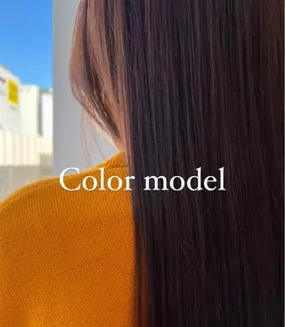 セミロング 🐋湊 ゆうき /ショートカット🫧のヘアスタイル