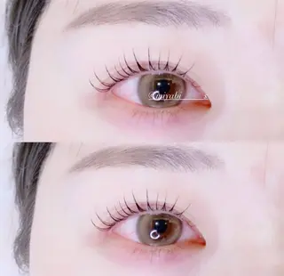 マツエク・マツパ fan.germe 副店長MIYABIのマツエク・マツパデザイン