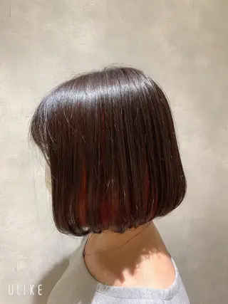 セミロング カラー エンドウ ミノリ🤎 /半個室/レイヤーのヘアスタイル