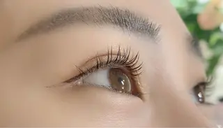 マツエク・マツパ Lanhr所属・【Lanhr】 🕊aya🕊のマツエク・マツパデザイン