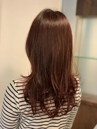 ミディアム カラー WISTERIA P LUS1 ikumiのヘアスタイル