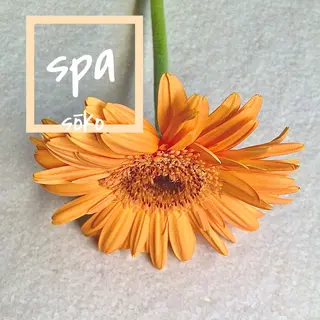 ミディアム カラー パーマ ヘアアレンジ マツエク・マツパ sōko   Hair&Nail Salon所属・🫧一気にあか抜け 🫧mayuのヘアスタイル