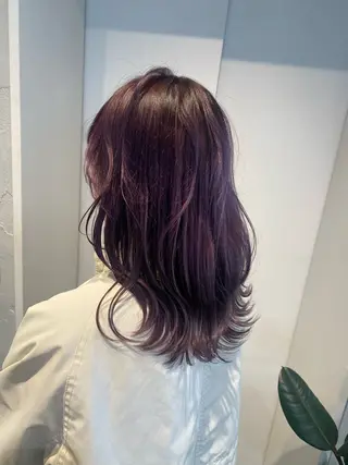 カラー ミユウ👗🎀 /カラーリスト/ボブのヘアスタイル