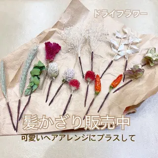 ヘアアレンジ 白髪ぼかしハイライト 着付けヘアアレンジのその他イメージ