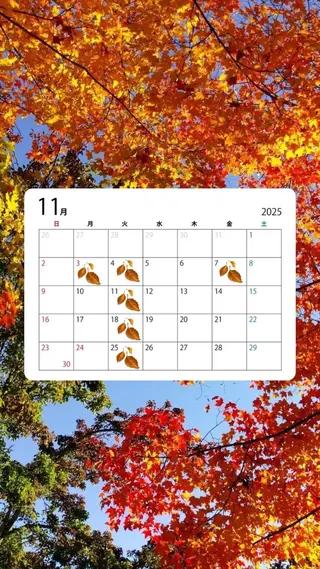 カラー - aiko -のヘアスタイル