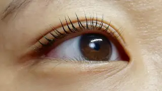 マツエク・マツパ angelux 所属・完全個室サロン🌹 angelux🌹のマツエク・マツパデザイン