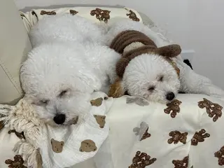 マツエク・マツパ ERINA ♥のネイルデザイン