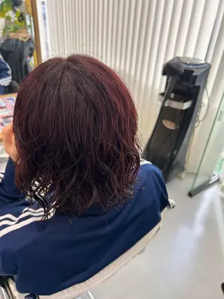 ショート カラー パーマ 藤原 あかりのヘアスタイル