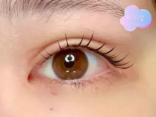 マツエク・マツパ 🌈ALEUM.🌈 アルムのマツエク・マツパデザイン