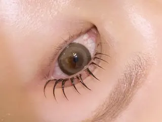 マツエク・マツパ ルクール見附店 吉田愛来のマツエク・マツパデザイン