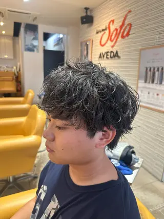 ショート パーマ メンズ 田中 汰知のヘアスタイル