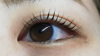 マツエク・マツパ angelux 所属・完全個室サロン🌹 angelux🌹のマツエク・マツパデザイン