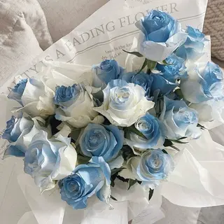 丸山 知夏のその他イメージ