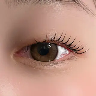 マツエク・マツパ 垢抜け眉WAX専門 ちゅるんまつげ|鎌倉の眉毛・アイブロウイメージ