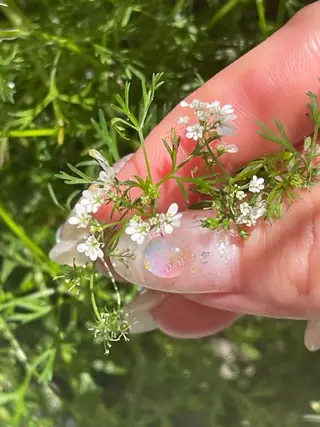 ネイル mew mew NAIL & EYEのマツエク・マツパデザイン