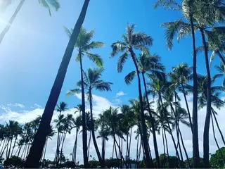 𝐘𝐎𝐒𝐇𝐈 𝐌𝐈🌞🏝のマツエク・マツパデザイン