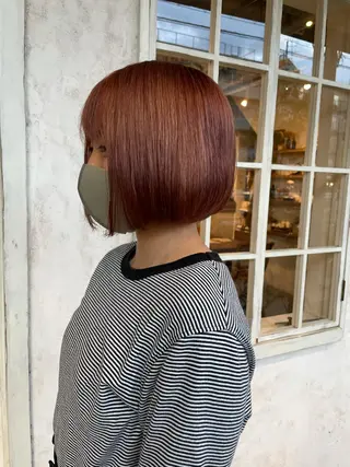 ショート カラー 泊 紗羅のヘアスタイル