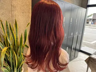 セミロング カラー ⛄️推し活ヘア🖤 ♡sachika♡のヘアスタイル