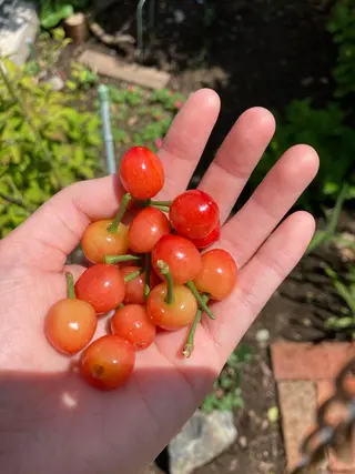 フェイシャルサロン ビアンカガーデンのエステ・リラクイメージ