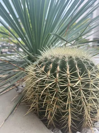 Emma ecole所属・Emma ecole /栄/RIOのヘアスタイル