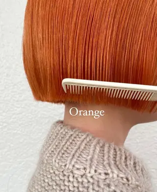 ショート カラー 藤井 貴美子のヘアスタイル