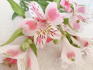 宮本 紗衣のエステ・リラクイメージ