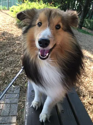 代表 中島貴志のヘアスタイル