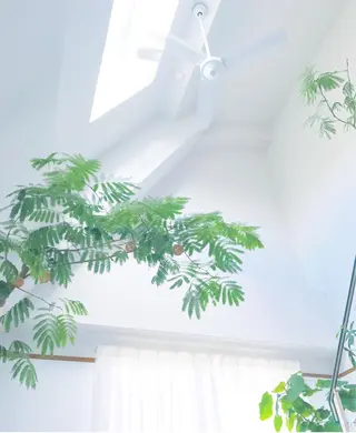 RENsalon大阪 体質改善リトリートのエステ・リラクイメージ