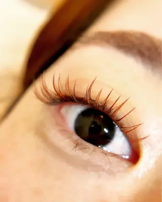 マツエク・マツパ エクステ/眉/LED peTiT堀口のマツエク・マツパデザイン