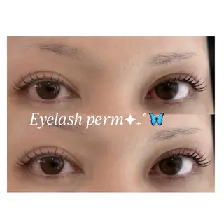 マツエク・マツパ Artis. YUMIKOのマツエク・マツパデザイン