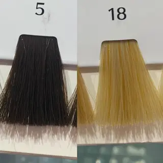 🎀🐰堀川 智史🐰🎀のヘアスタイル