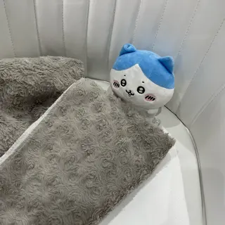 ネイル Sugar. ひかり໒꒱˚.*のネイルデザイン