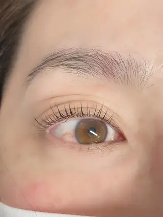 マツエク・マツパ y"salon Lilyのマツエク・マツパデザイン