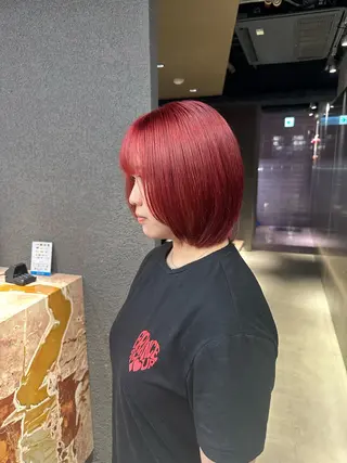 ショート カラー 鈴木直之/ハイトーン /ボブ/美髪矯正のヘアスタイル