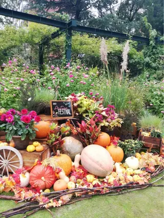 ヘアアレンジ 【ディレクター 🧸🤍田澤 唯那】のヘアスタイル