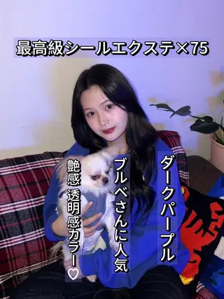 二宮 陽太のヘアスタイル