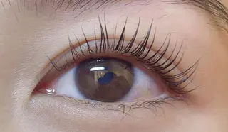 マツエク・マツパ princess 森 碧海のマツエク・マツパデザイン