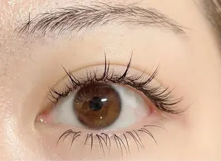 マツエク・マツパ HARIS店長🦋 Ishiguroのマツエク・マツパデザイン