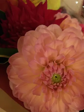 シュガーリングサロン ダリア所属・Dahliaダリア シュガーリングサロンのエステ・リラクイメージ