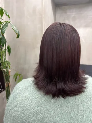 セミロング カラー 🐶 NARUMI🐶のヘアスタイル