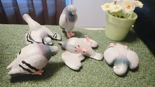 ほぐし屋 はとの手のエステ・リラクイメージ