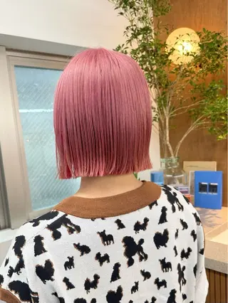 ショート カラー 坂田 友梨奈のヘアスタイル